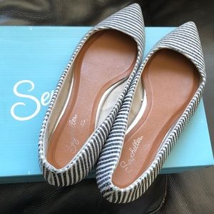 Seychelles well-known flats